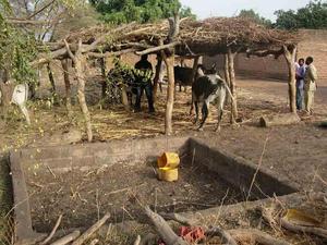 Mali-Agri